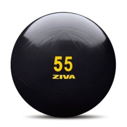 Fitball Negro ZIVA Classic con Bomba Manual