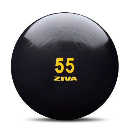 Fitball Negro ZIVA Classic con Bomba Manual