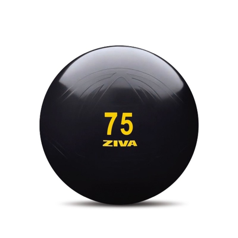 Fitball Negro ZIVA Classic con Bomba Manual