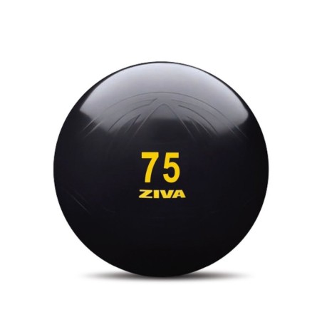 Fitball Negro ZIVA Classic con Bomba Manual
