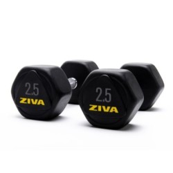 Mancuernas Hexagon ZIVA Performance 2,5-30 kg