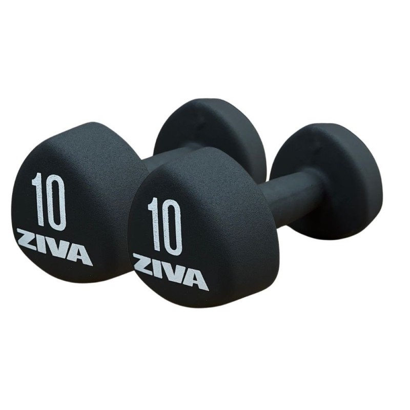 Mancuernas de Vinilo ZIVA 1-10 kg