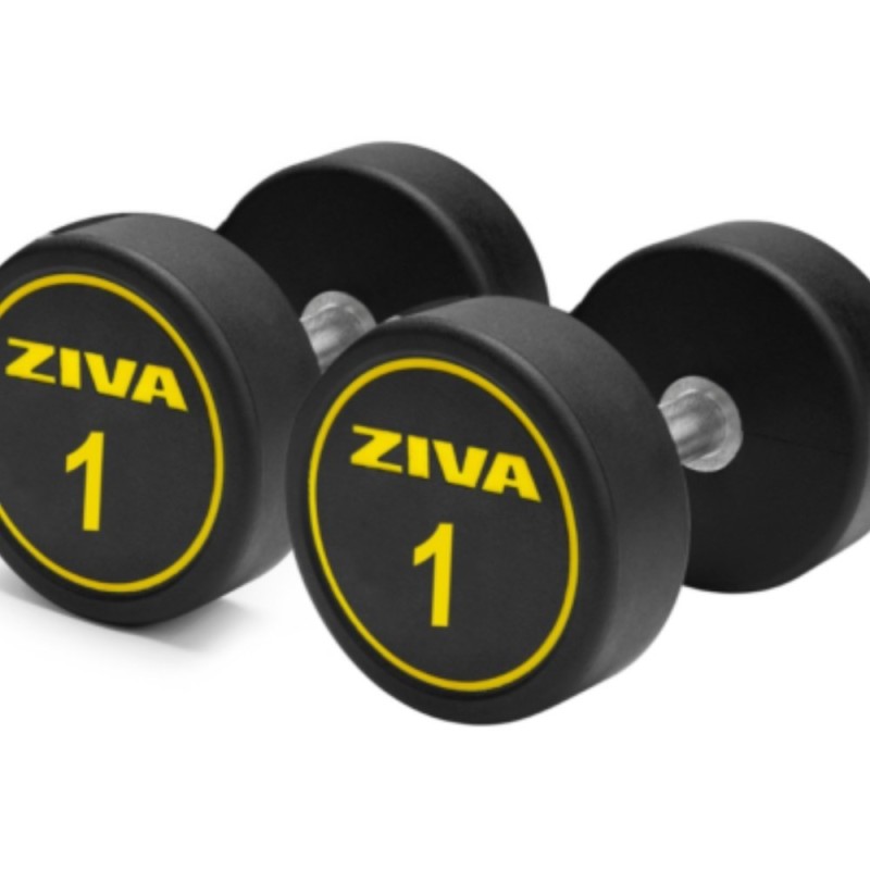 Mancuernas redondas Performance ZIVA 1-10kg