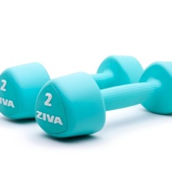 Mancuernas Studio Chic Turquesa ZIVA 1-8 kg 2