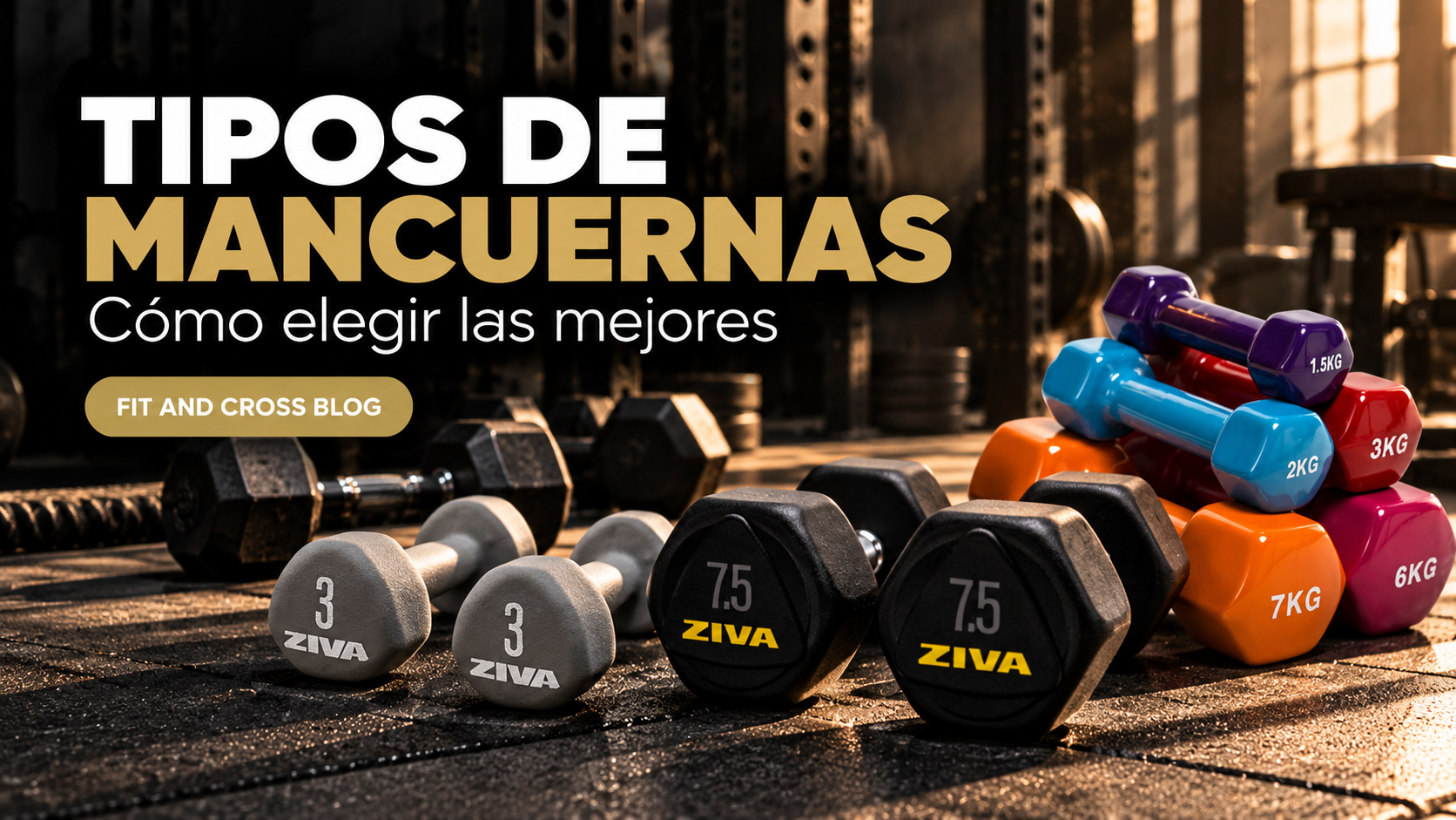 Tipos de mancuernas: guía para elegir las mejores
